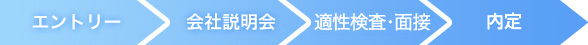 エントリー→会社説明会→選考・適正検査→内々定